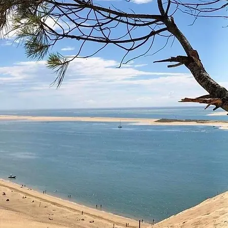 Symphonie Bassin D'arcachon Gujan-Mestras